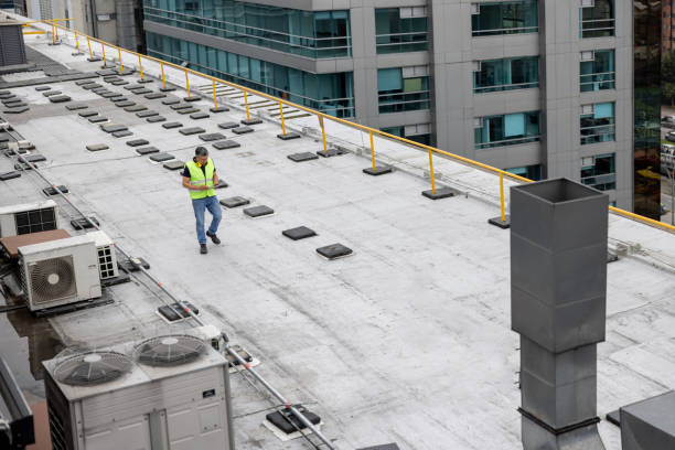 Professional Roofing in Newport, SC