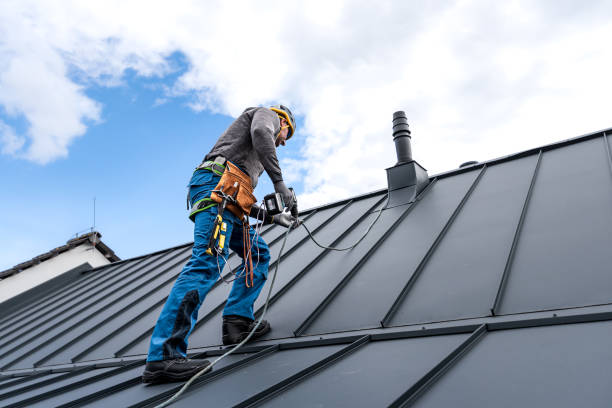 Best Asphalt Shingle Roofing  in Newport, SC