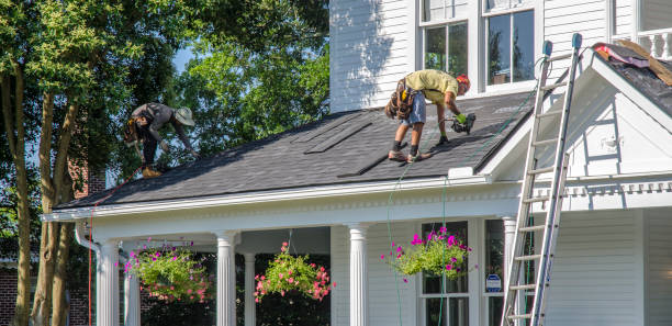 Best Storm Damage Roof Repair  in Newport, SC